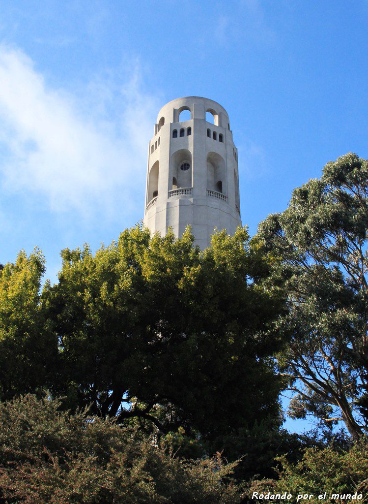 Finalmente divisamos la parte superior de la Coit Tower entre la vegetación.