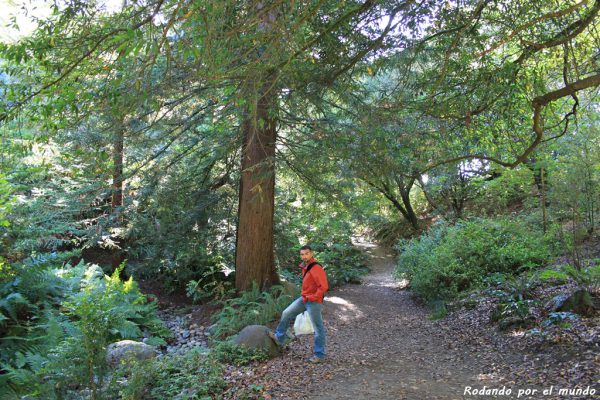 Golden Gate Park San Francisco