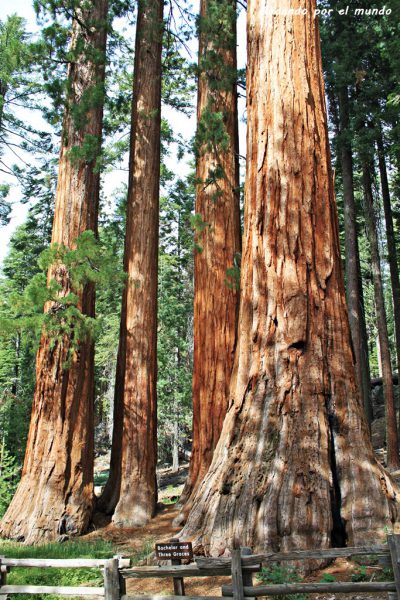 Yosemite National Park