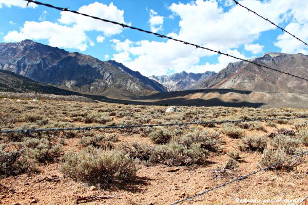 Death Valley