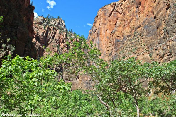 Zion National Park