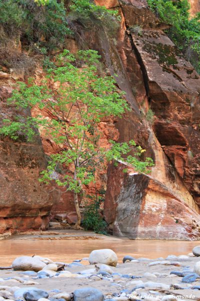 Zion National Park