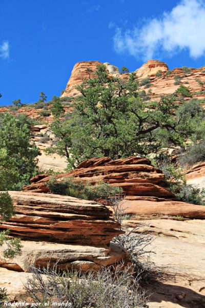 Zion National Park