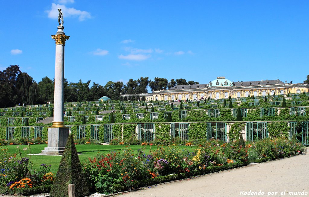 Los jardines que rodean el Palacio Sanssouci están repletos de flores de todos los colores.