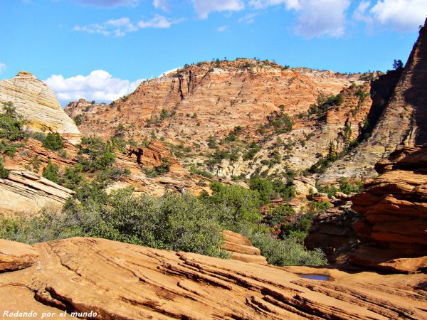 Zion National Park