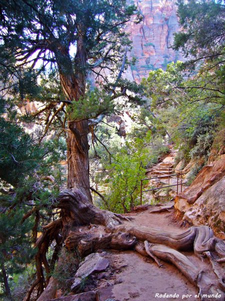 Zion National Park