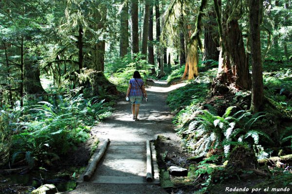 Sol Duc Falls