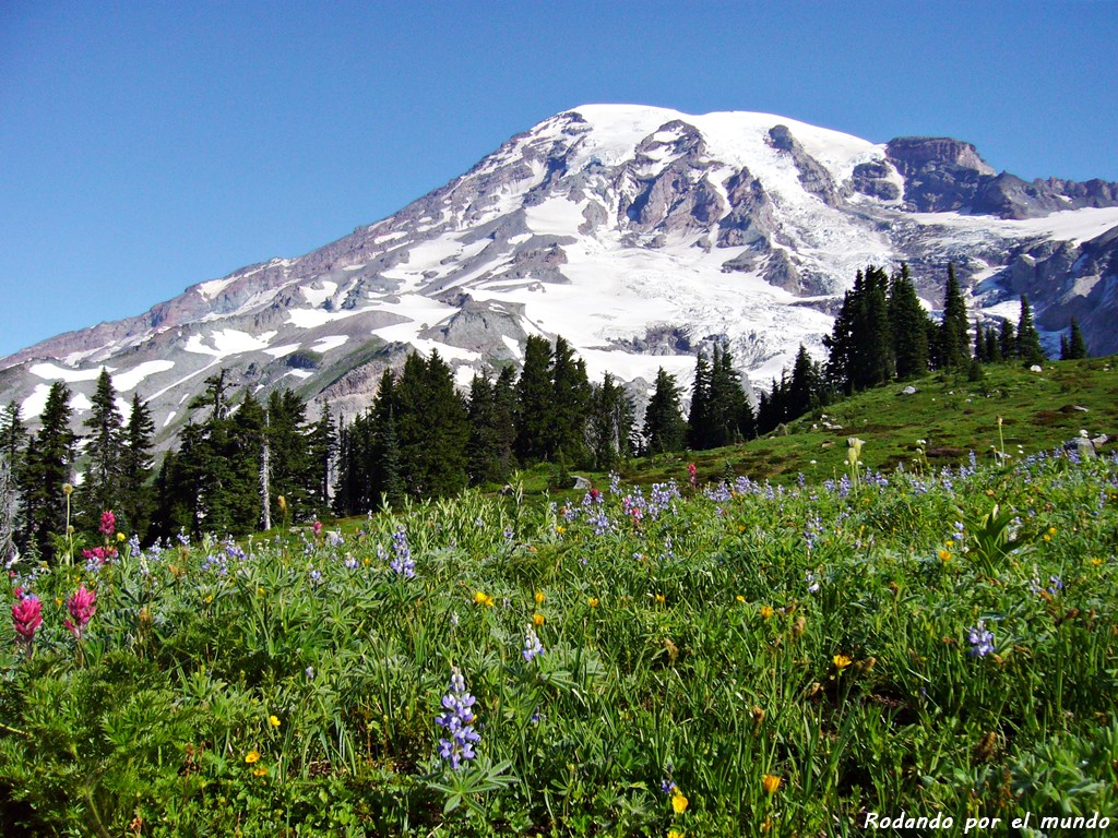 P1080024 Mt Rainier NP Rodando Por El Mundo