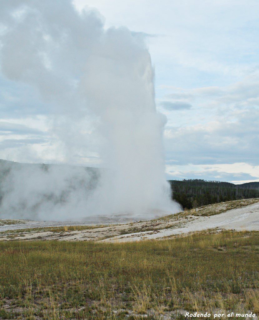 Old Faithful