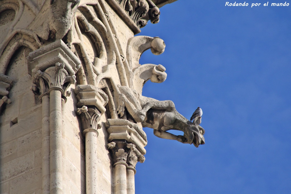 Notre Dame