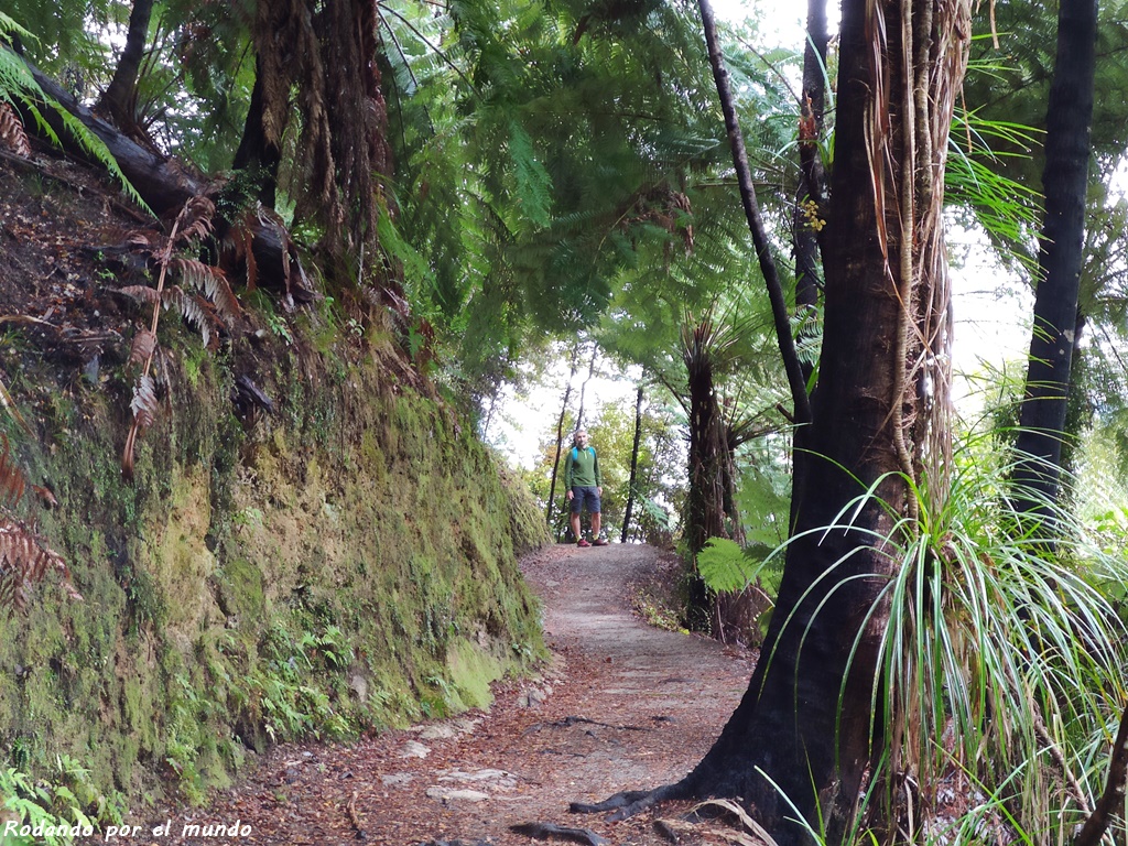 Abel Tasman National Park