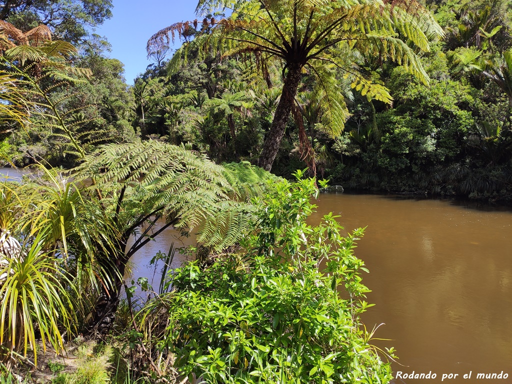 Paparoa National Park