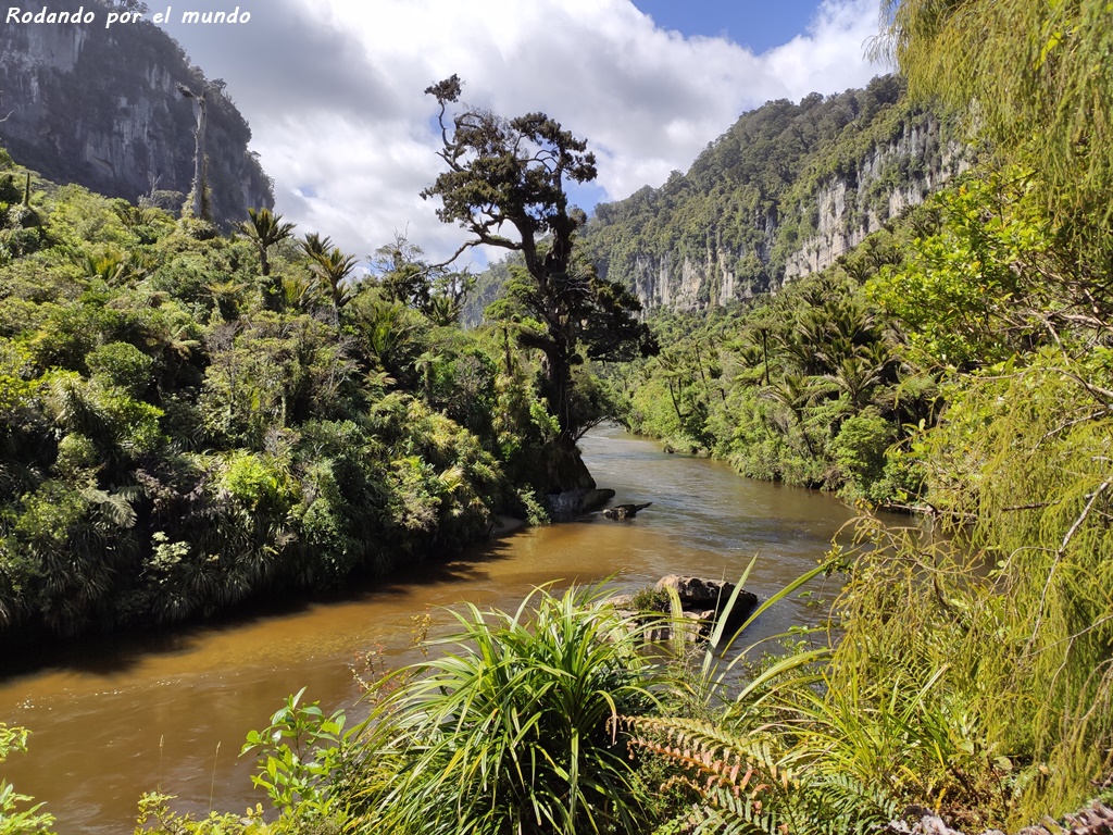 Paparoa National Park