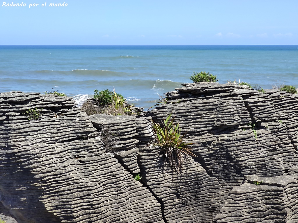 Paparoa National Park