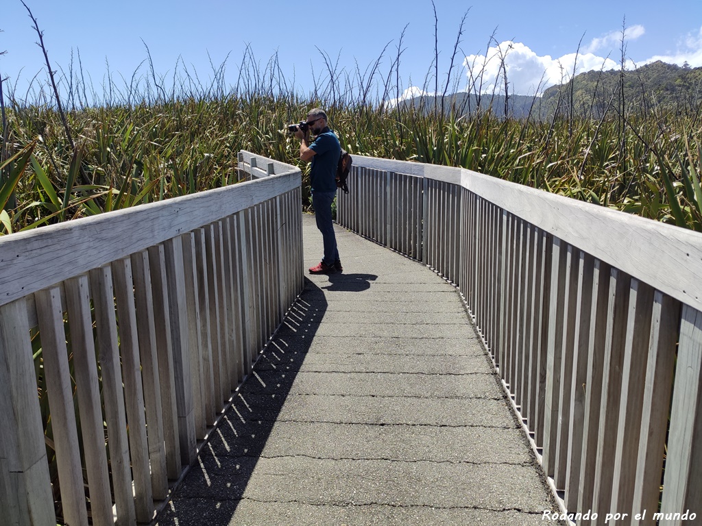 Paparoa National Park