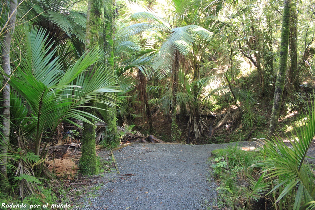 Paparoa National Park