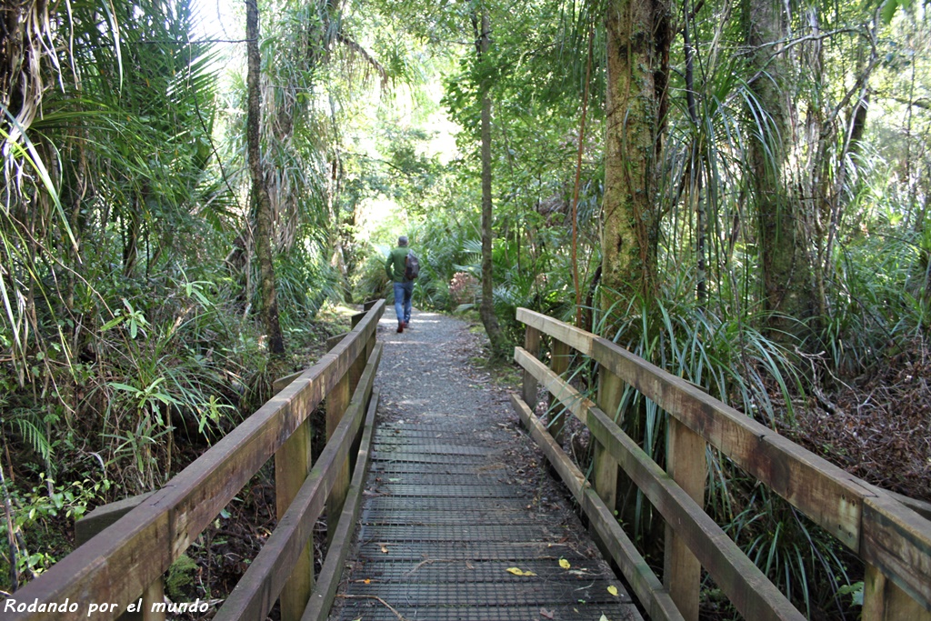 Paparoa National Park