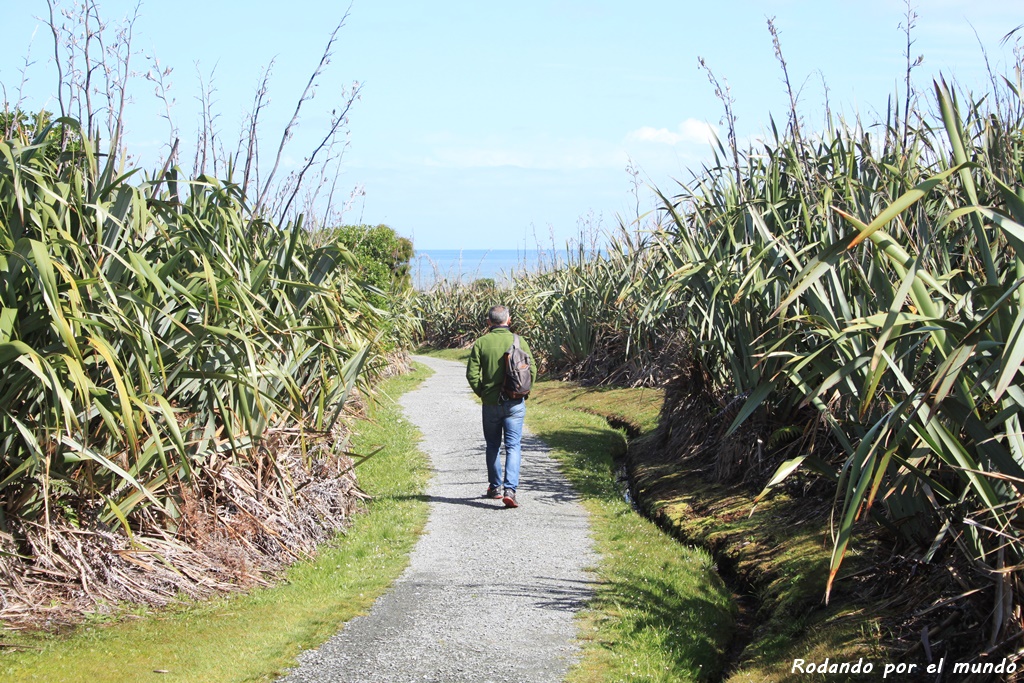 Paparoa National Park