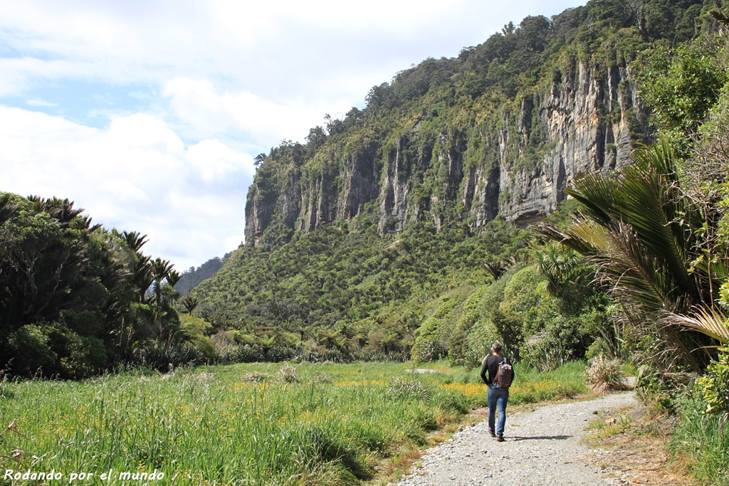 Paparoa National Park