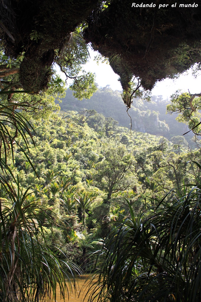 Paparoa National Park