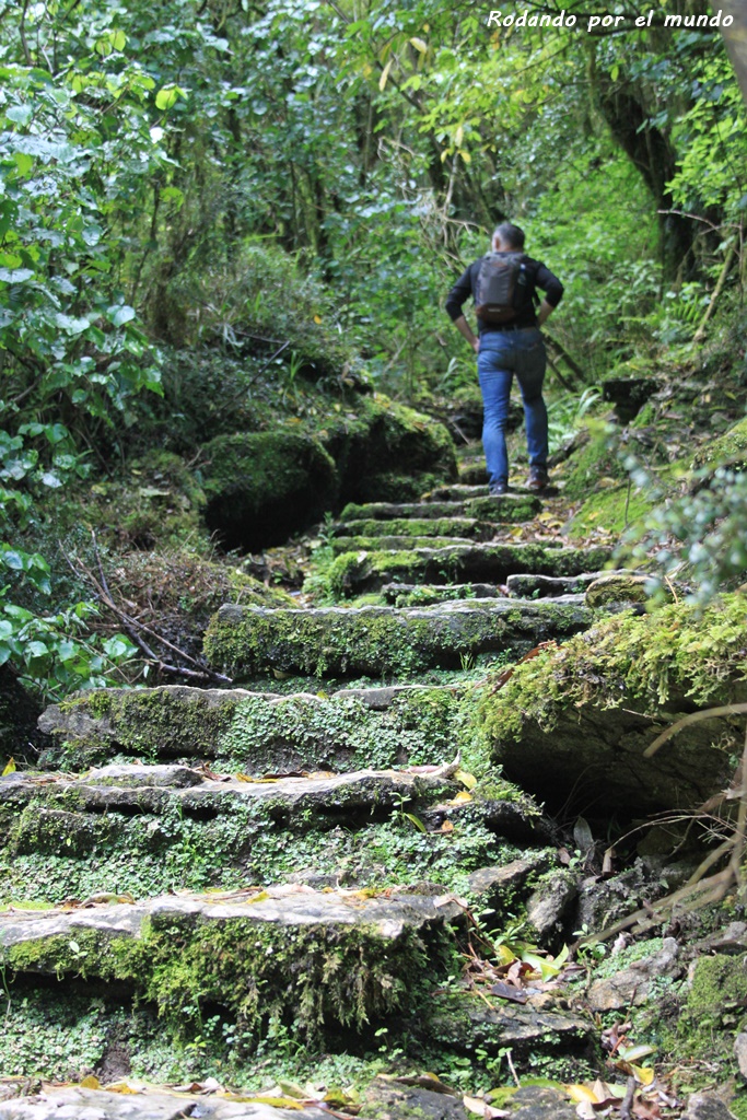 Paparoa National Park