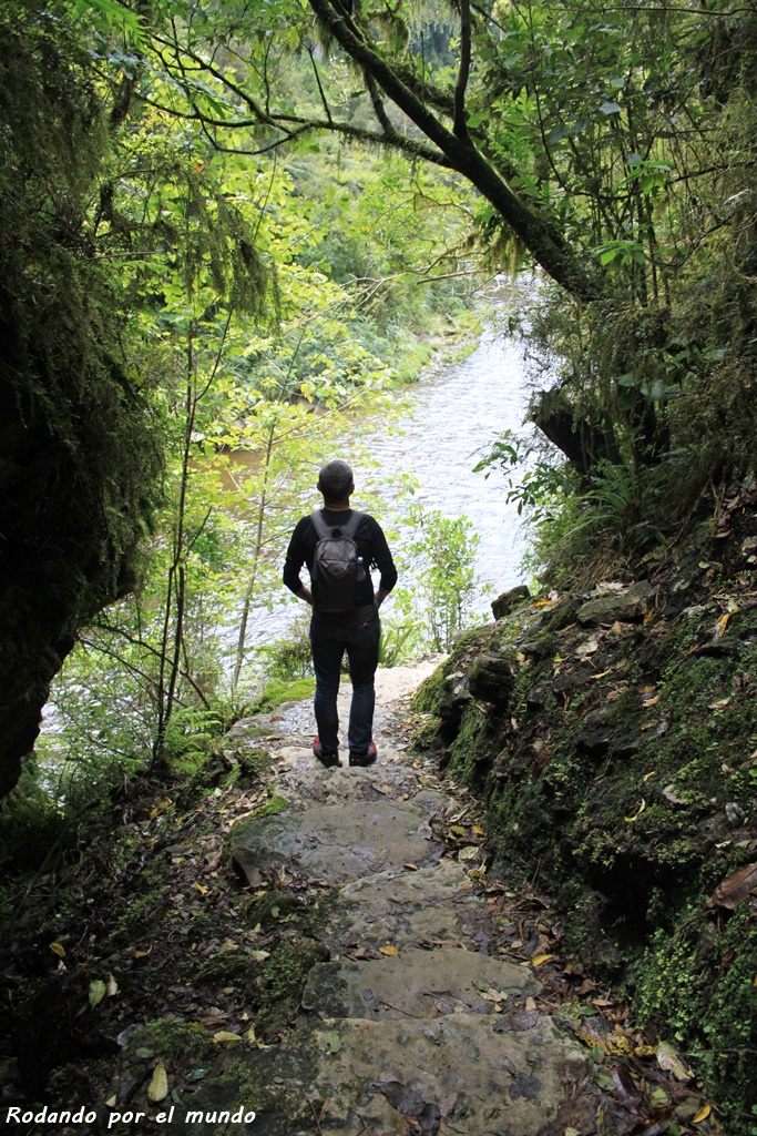 Paparoa National Park