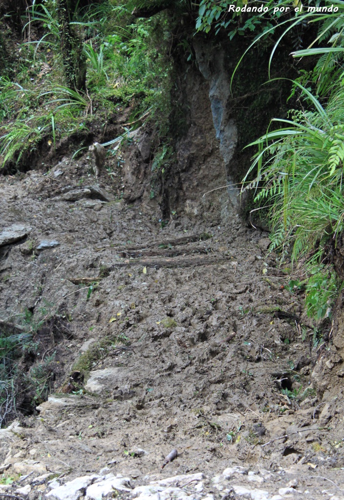 Paparoa National Park