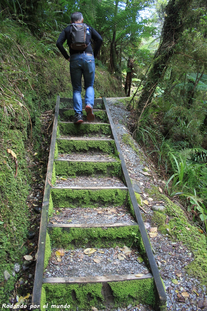 Paparoa National Park