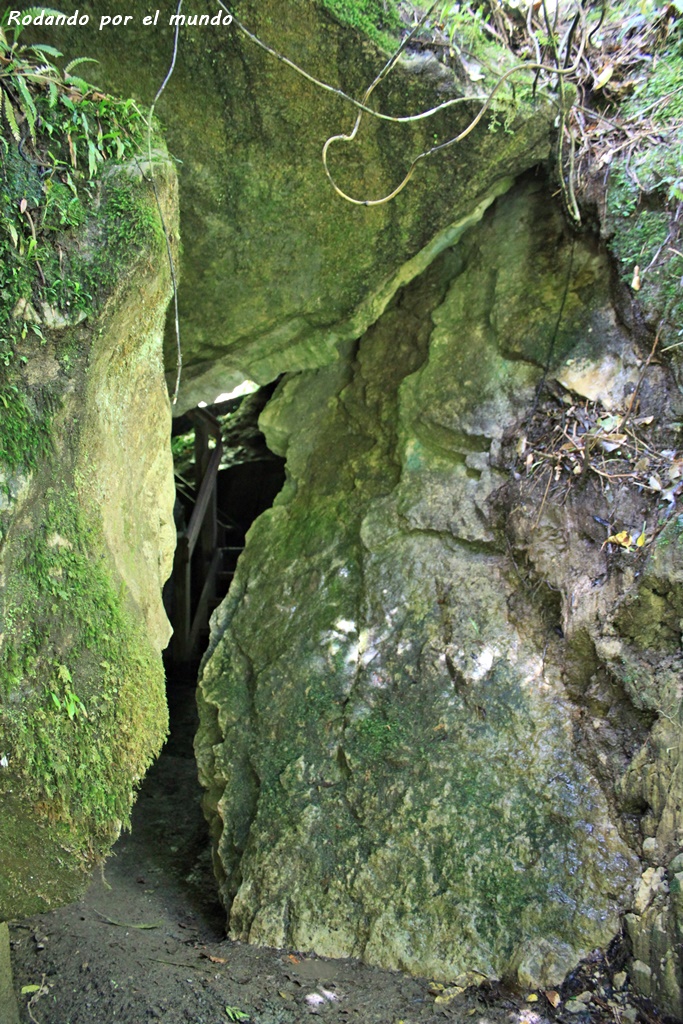 Paparoa National Park