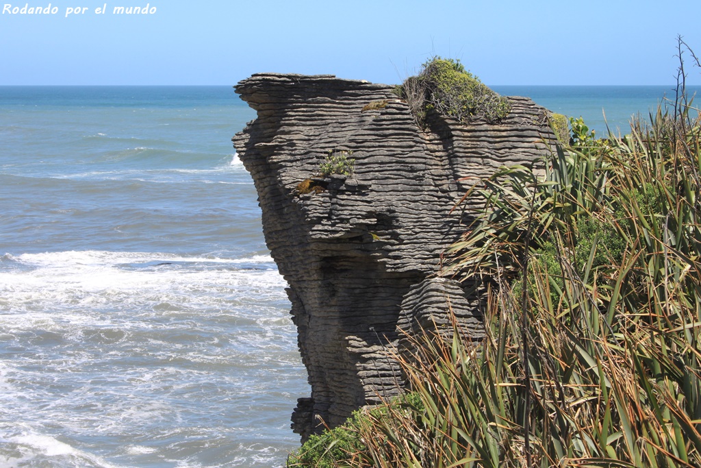 Paparoa National Park