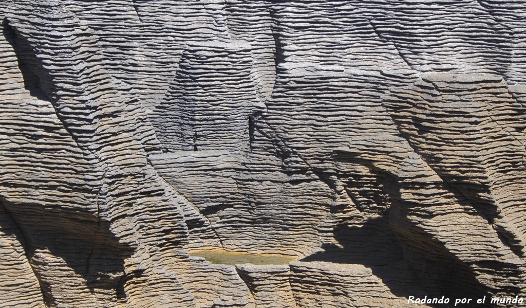 Paparoa National Park