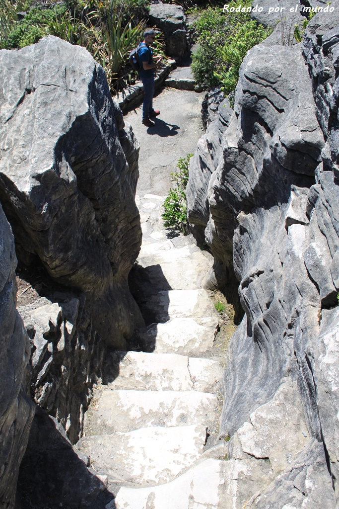 Paparoa National Park