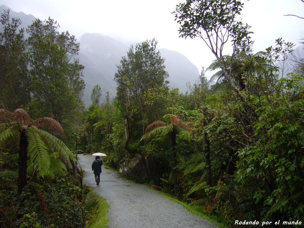 Franz Josef Glacier