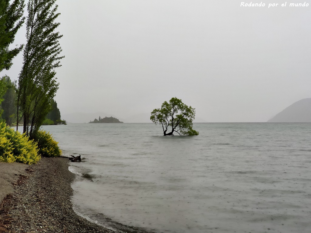 Wanaka