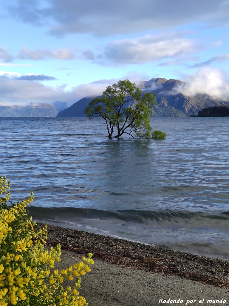 Wanaka