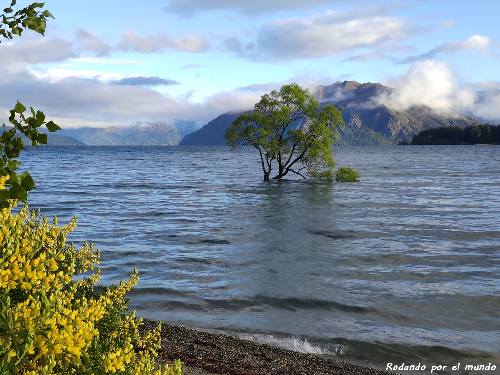 Wanaka