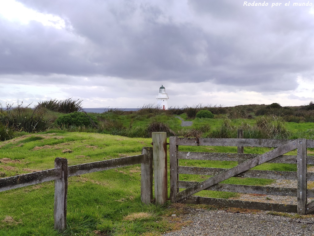 The Catlins - Waipapa Point