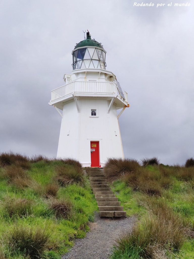 The Catlins - Waipapa Point