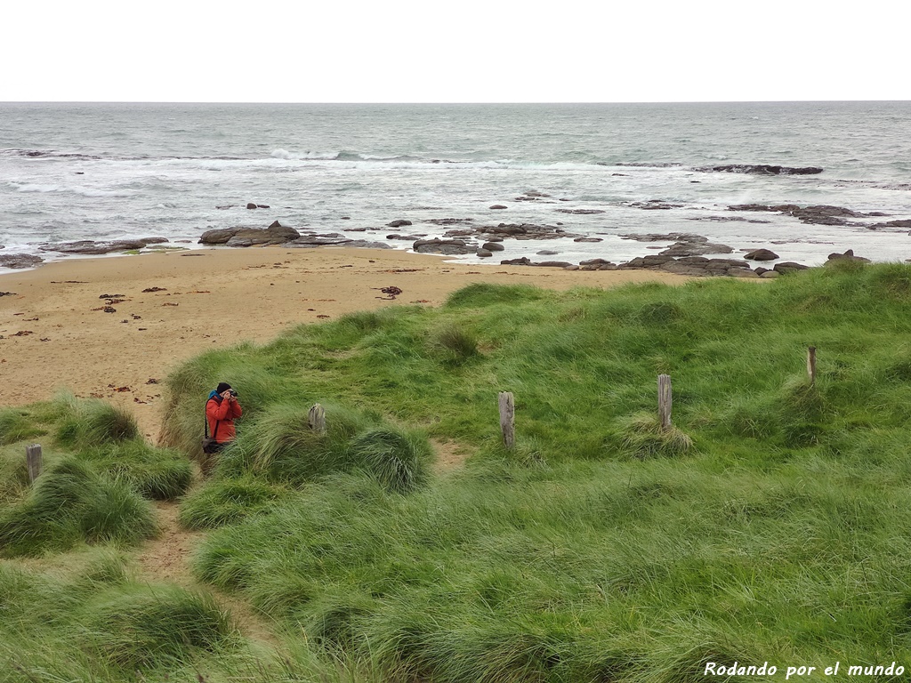 The Catlins - Waipapa Point