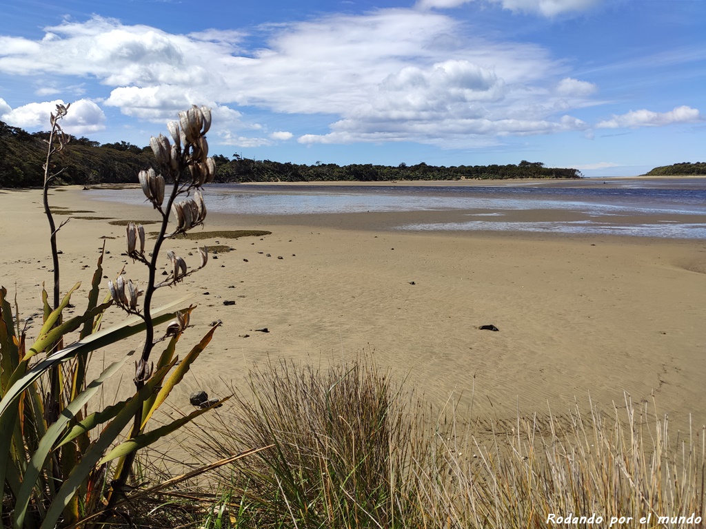 The Catlins 