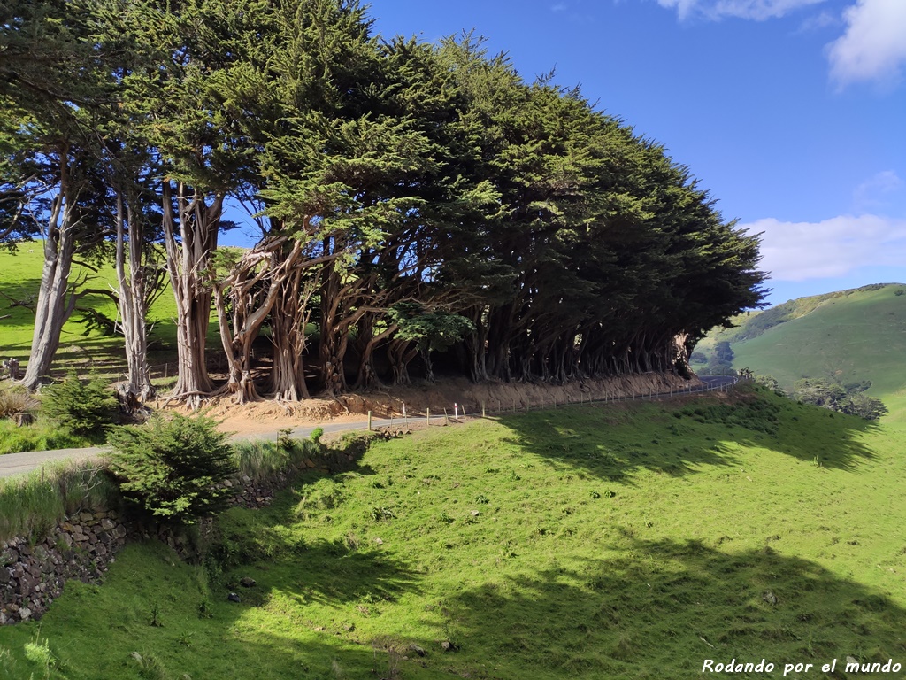 Península de Otago