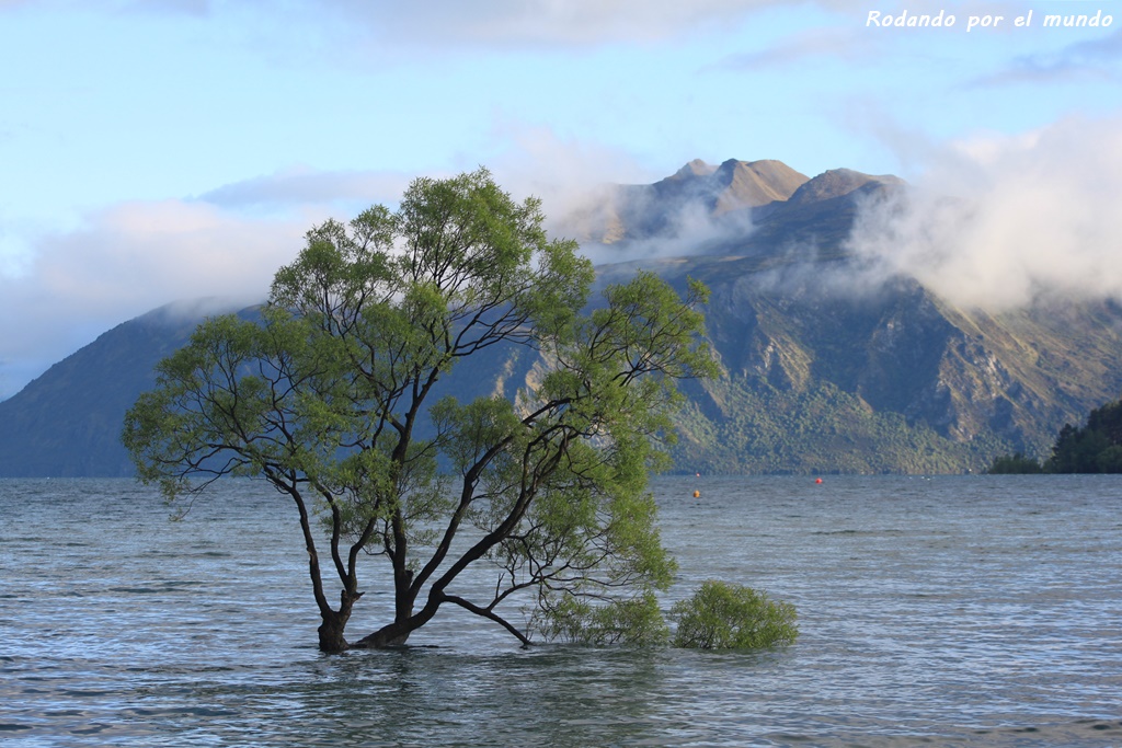 Wanaka