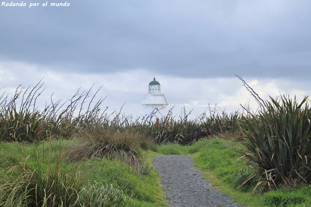 The Catlins - Waipapa Point