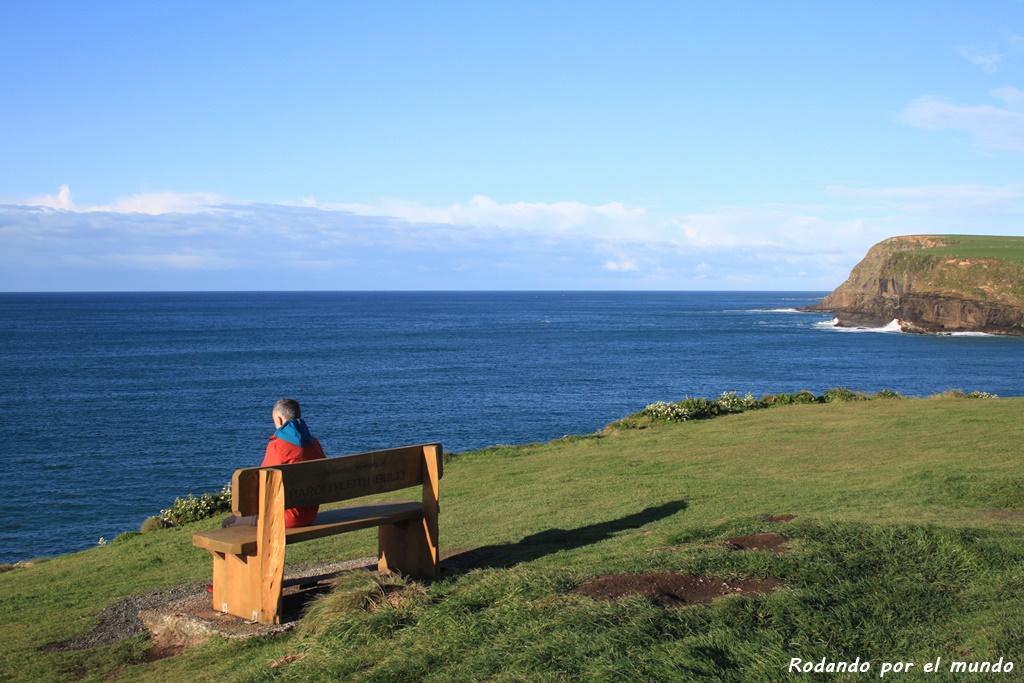 The Catlins - Curio Bay