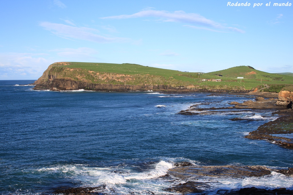 The Catlins - Curio Bay