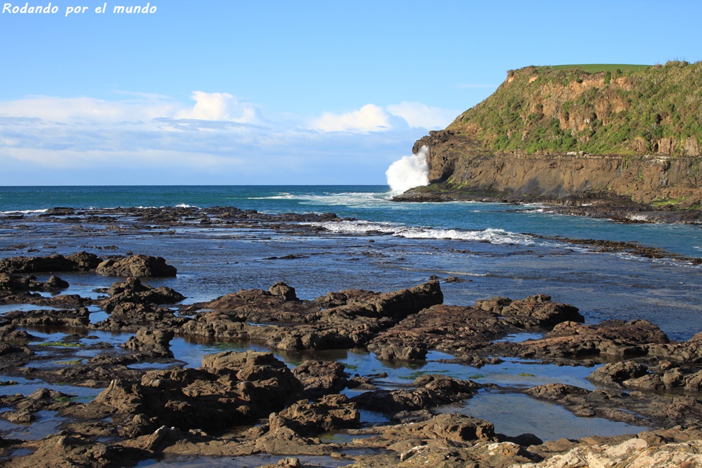 The Catlins - Curio Bay