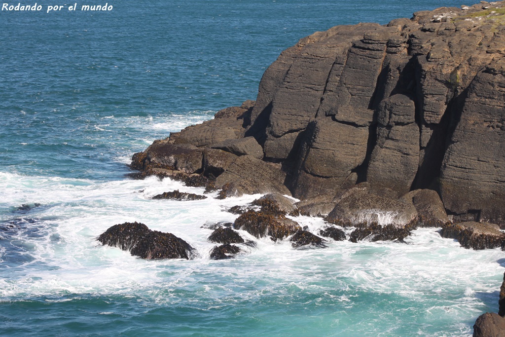 The Catlins - Slope Point