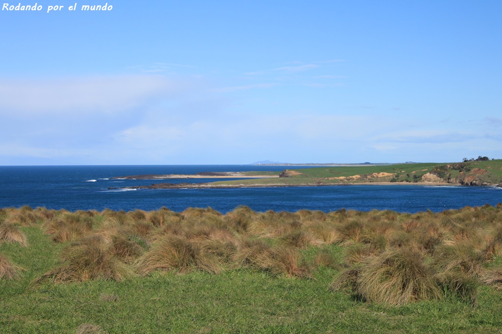 The Catlins - Slope Point