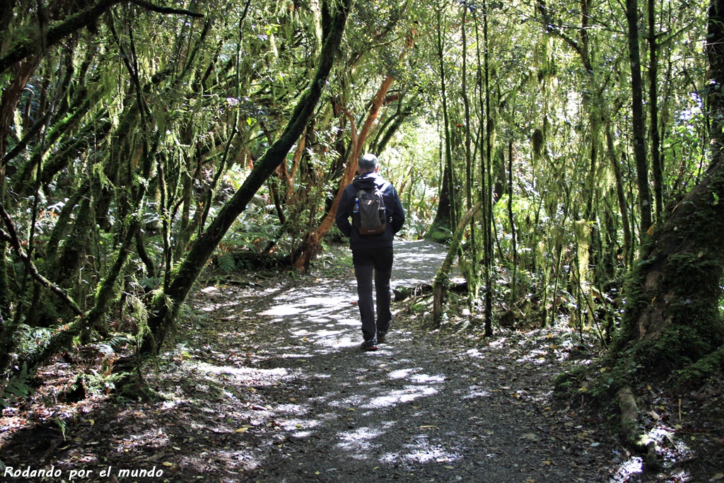 The Catlins - McLean Falls