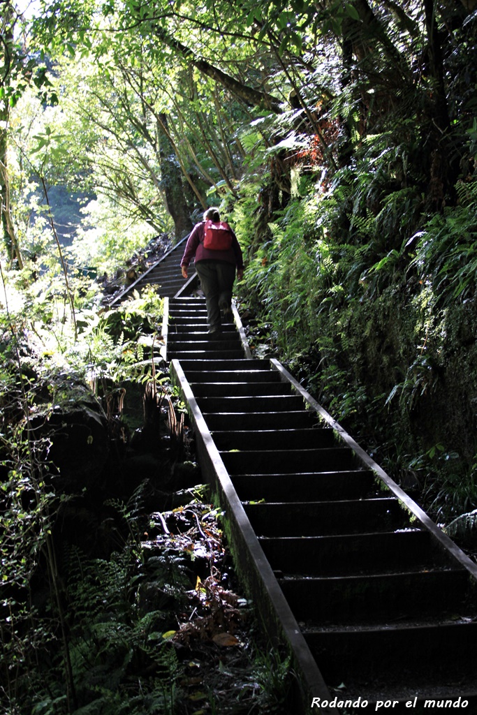 The Catlins - McLean Falls